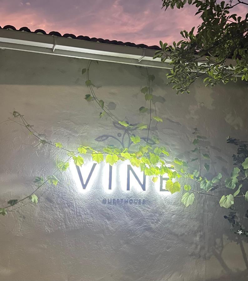 Vine Guesthouse Стелленбос Екстер'єр фото