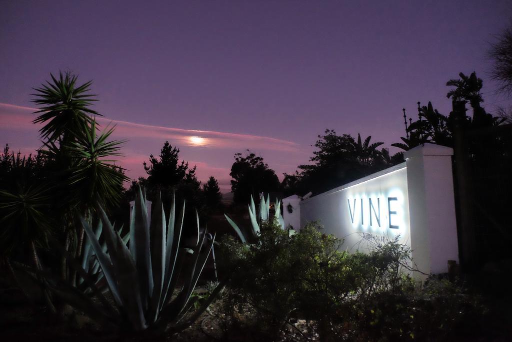 Vine Guesthouse Стелленбос Екстер'єр фото