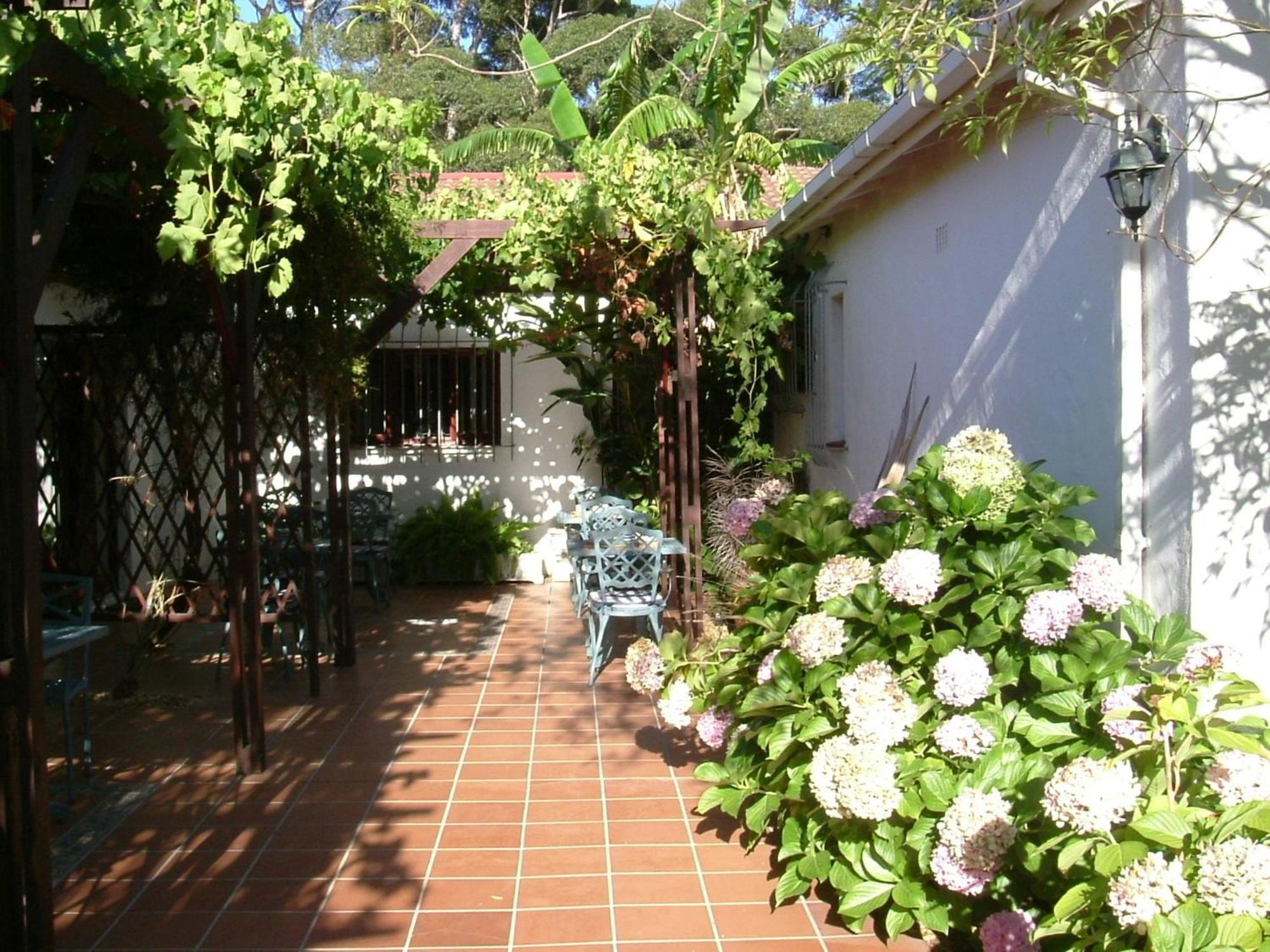 Vine Guesthouse Стелленбос Екстер'єр фото