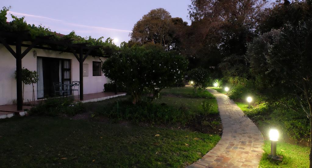 Vine Guesthouse Стелленбос Екстер'єр фото