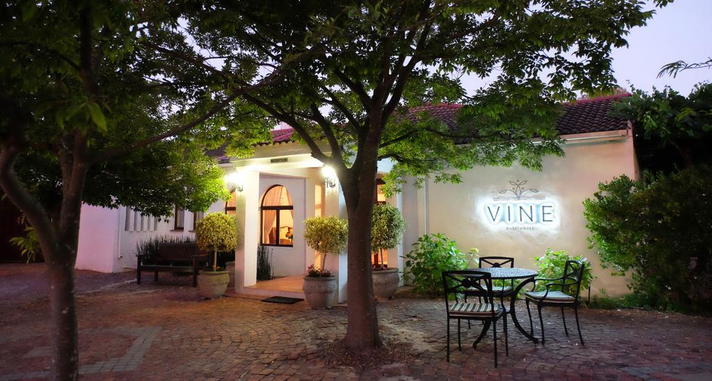 Vine Guesthouse Стелленбос Екстер'єр фото