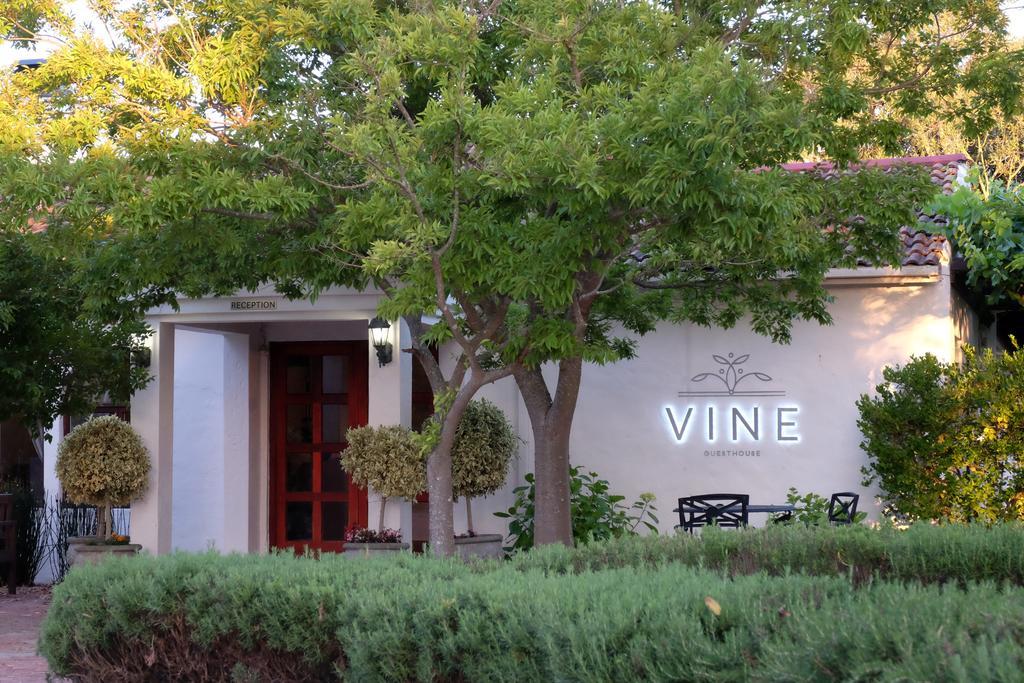 Vine Guesthouse Стелленбос Екстер'єр фото