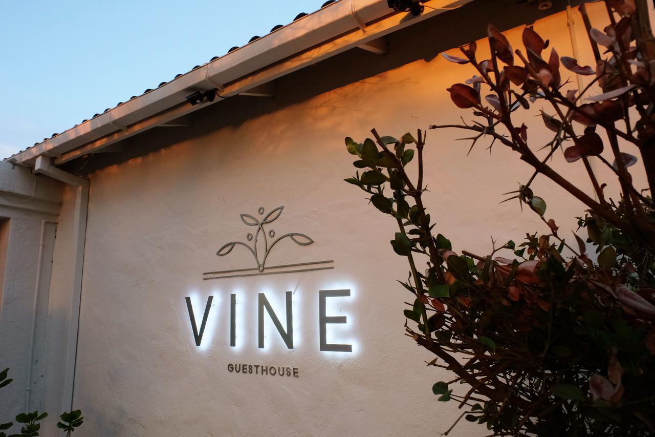Vine Guesthouse Стелленбос Екстер'єр фото