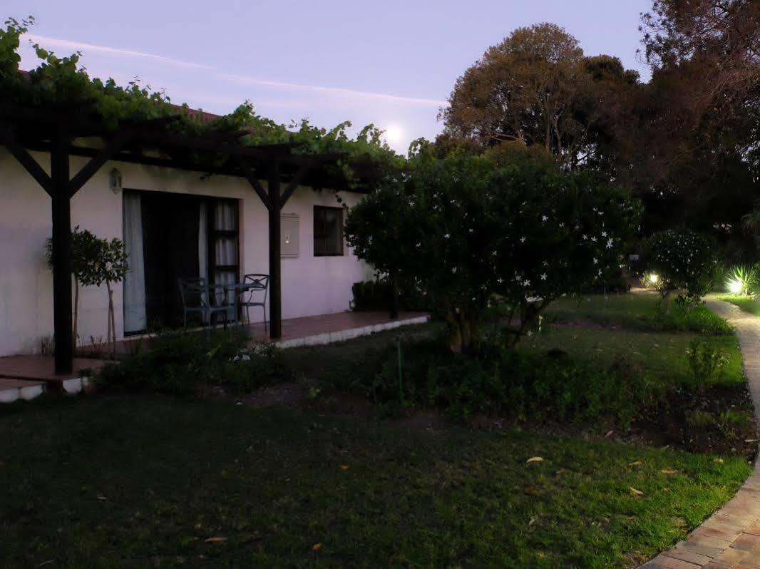 Vine Guesthouse Стелленбос Екстер'єр фото
