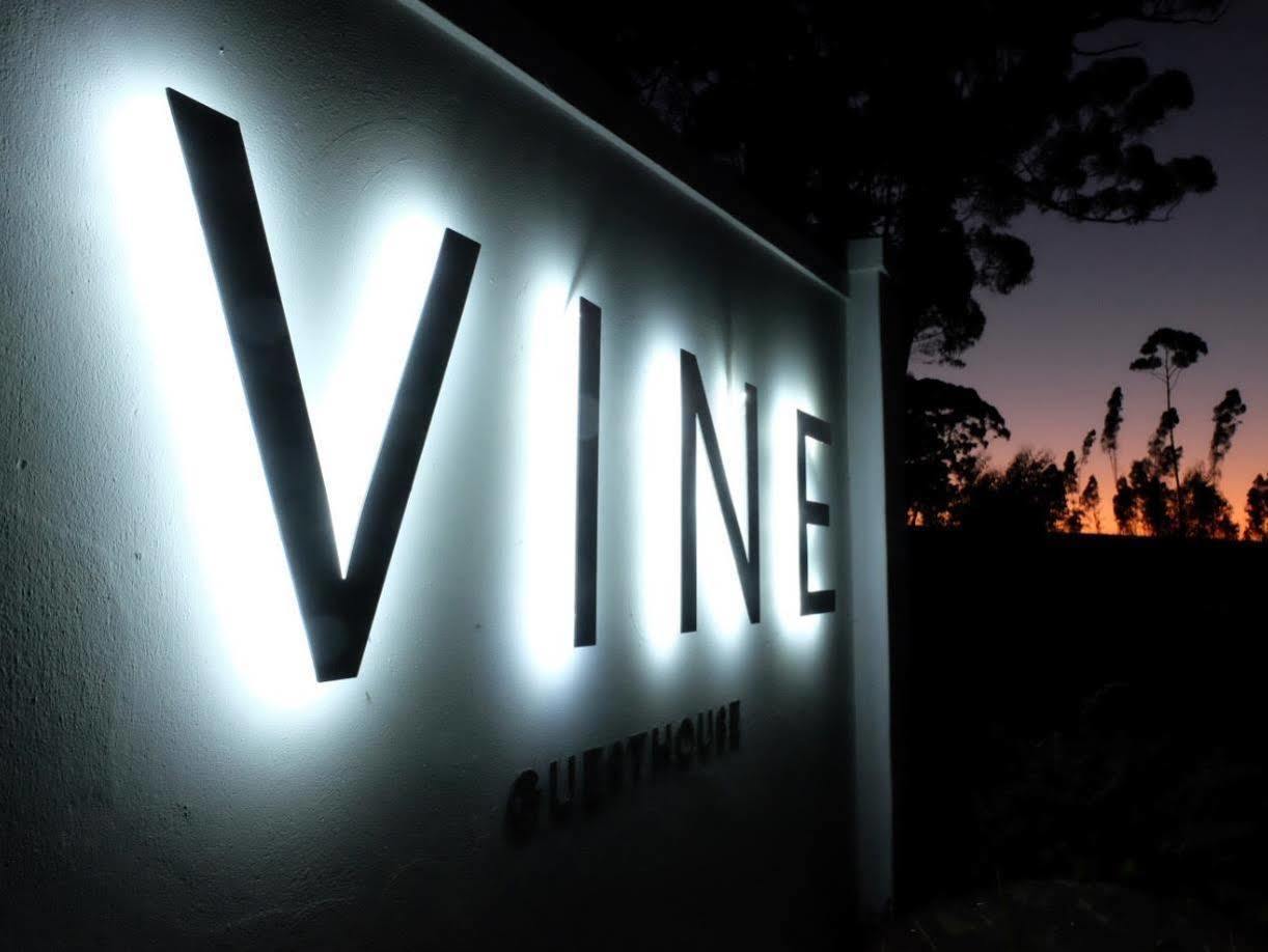 Vine Guesthouse Стелленбос Екстер'єр фото